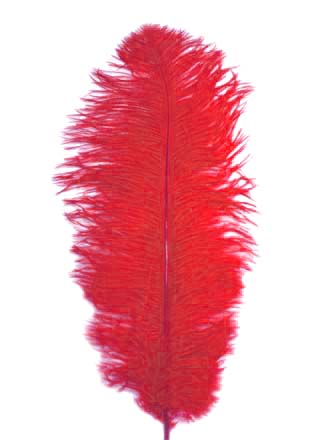 Ostrich Feather Plume - RED